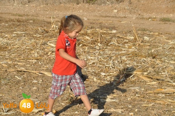 7amam lud monir 908 (2).JPG